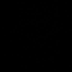 Meet your Posher, Kiki